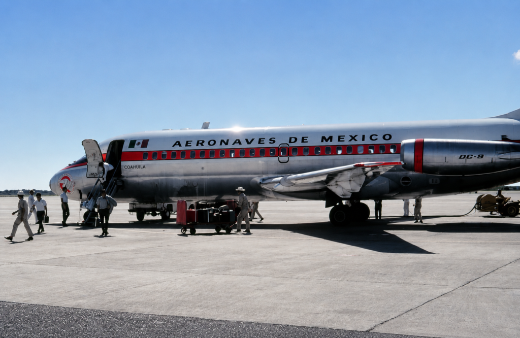 Aeronaves de México 229